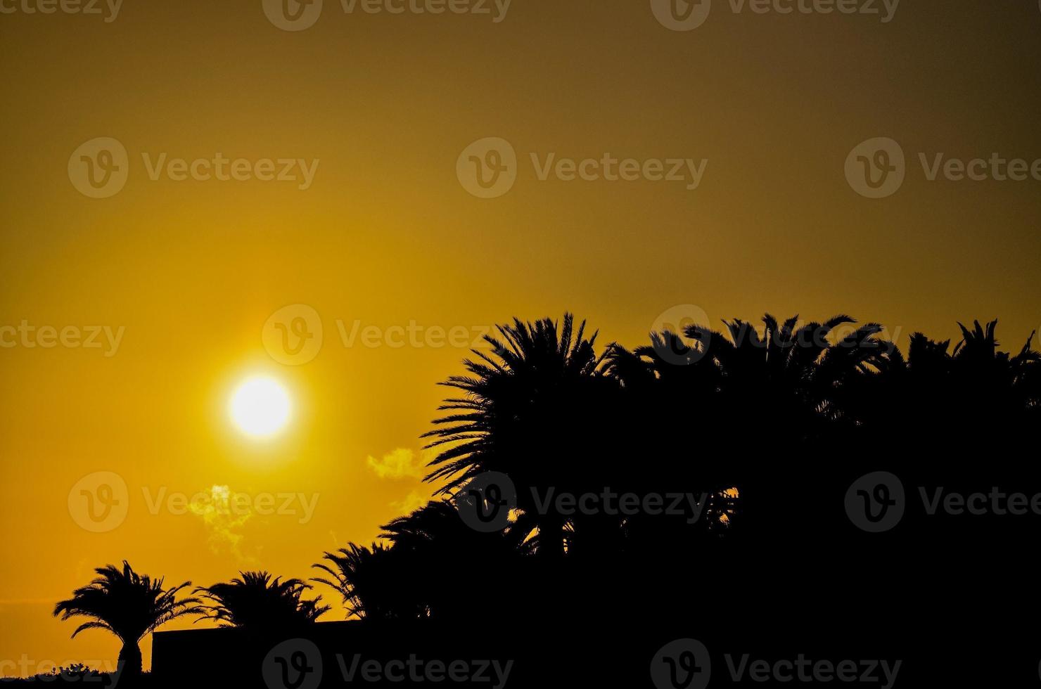 Beautiful sunset view photo