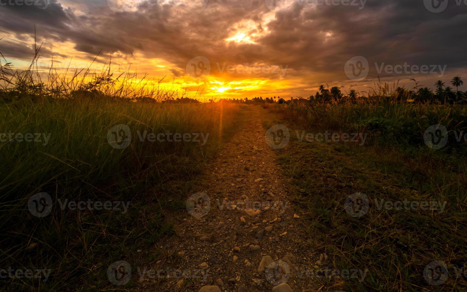 Rural empty road at dusk. Countryside sunset landscape photo