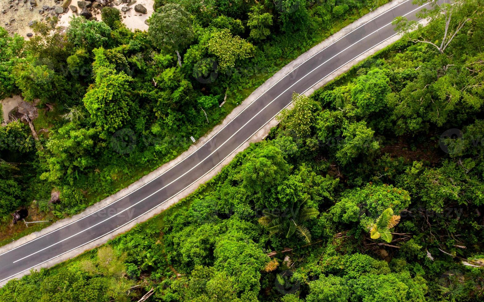 aéreo ver de vacío la carretera con verde bosque foto