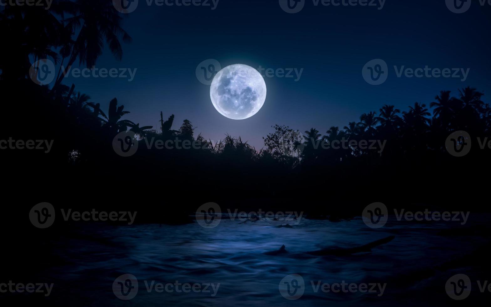 calma noche a río con lleno Luna y arboles en silueta foto