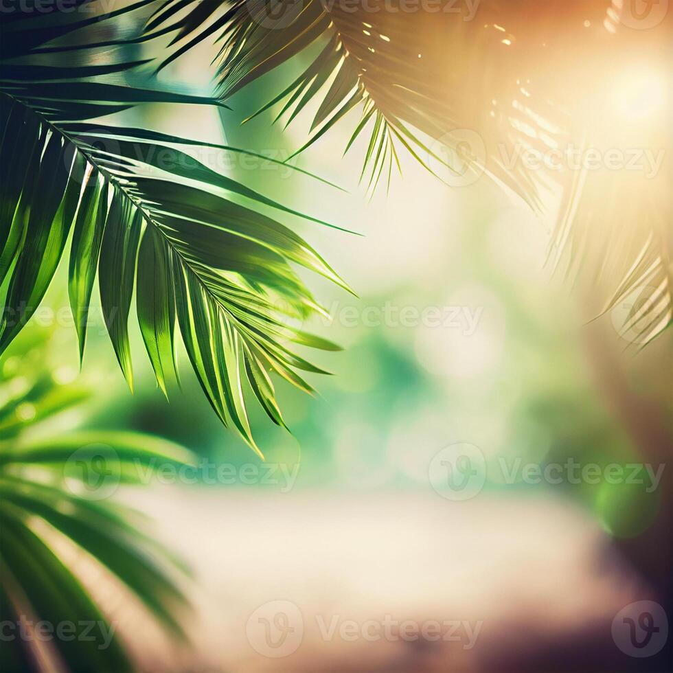 Blur beautiful nature green palm leaf on tropical beach with bokeh sun light flare wave abstract background. Summer vacation and business travel concept space - image photo