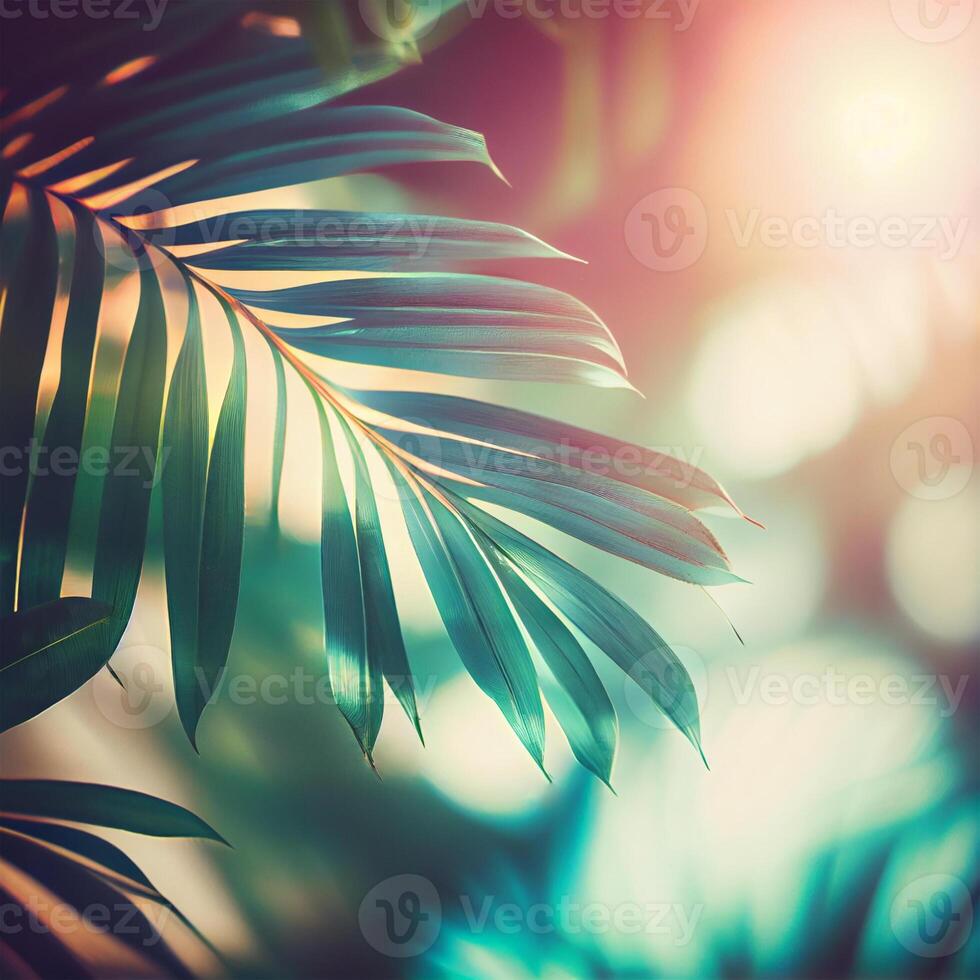 Blur beautiful nature green palm leaf on tropical beach with bokeh sun light flare wave abstract background. Summer vacation and business travel concept space - image photo