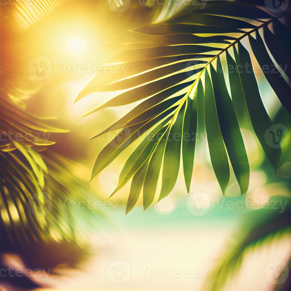 Blur beautiful nature green palm leaf on tropical beach with bokeh sun light flare wave abstract background. Summer vacation and business travel concept space - image photo