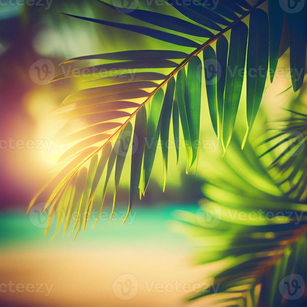 Blur beautiful nature green palm leaf on tropical beach with bokeh sun light flare wave abstract background. Summer vacation and business travel concept space - image photo