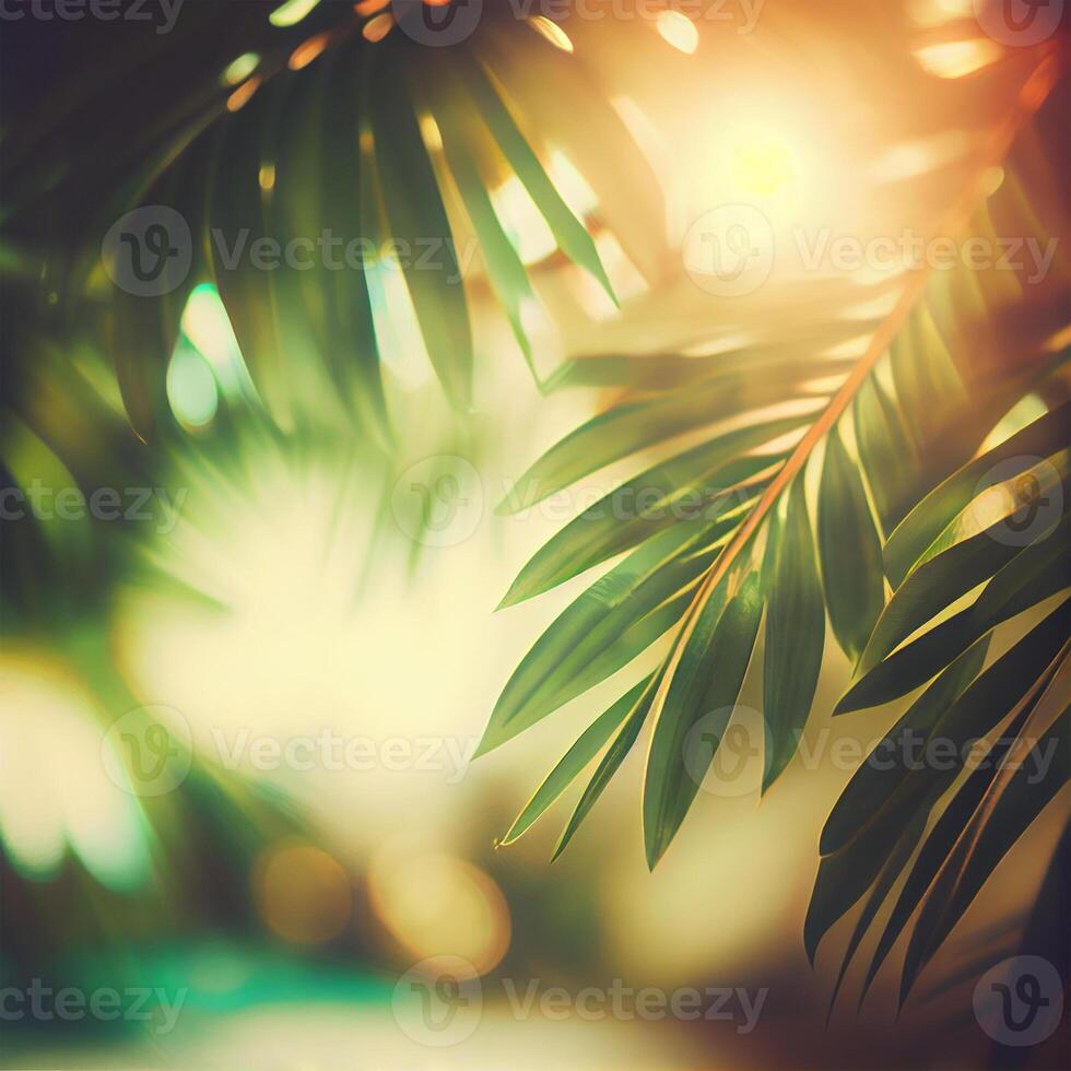 Blur beautiful nature green palm leaf on tropical beach with bokeh sun light flare wave abstract background. Summer vacation and business travel concept space - image photo