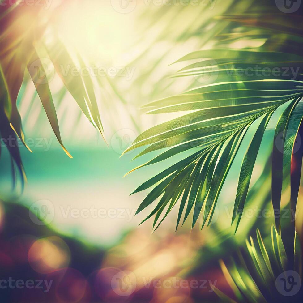 Blur beautiful nature green palm leaf on tropical beach with bokeh sun light flare wave abstract background. Summer vacation and business travel concept space - image photo