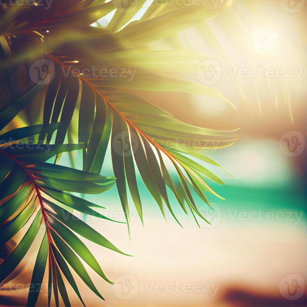 Blur beautiful nature green palm leaf on tropical beach with bokeh sun light flare wave abstract background. Summer vacation and business travel concept space - image photo