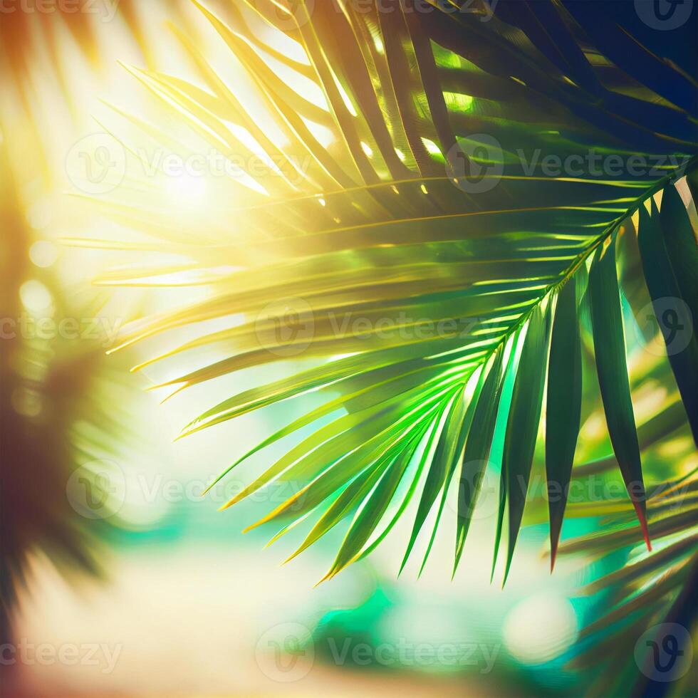 Blur beautiful nature green palm leaf on tropical beach with bokeh sun light flare wave abstract background. Summer vacation and business travel concept space - image photo