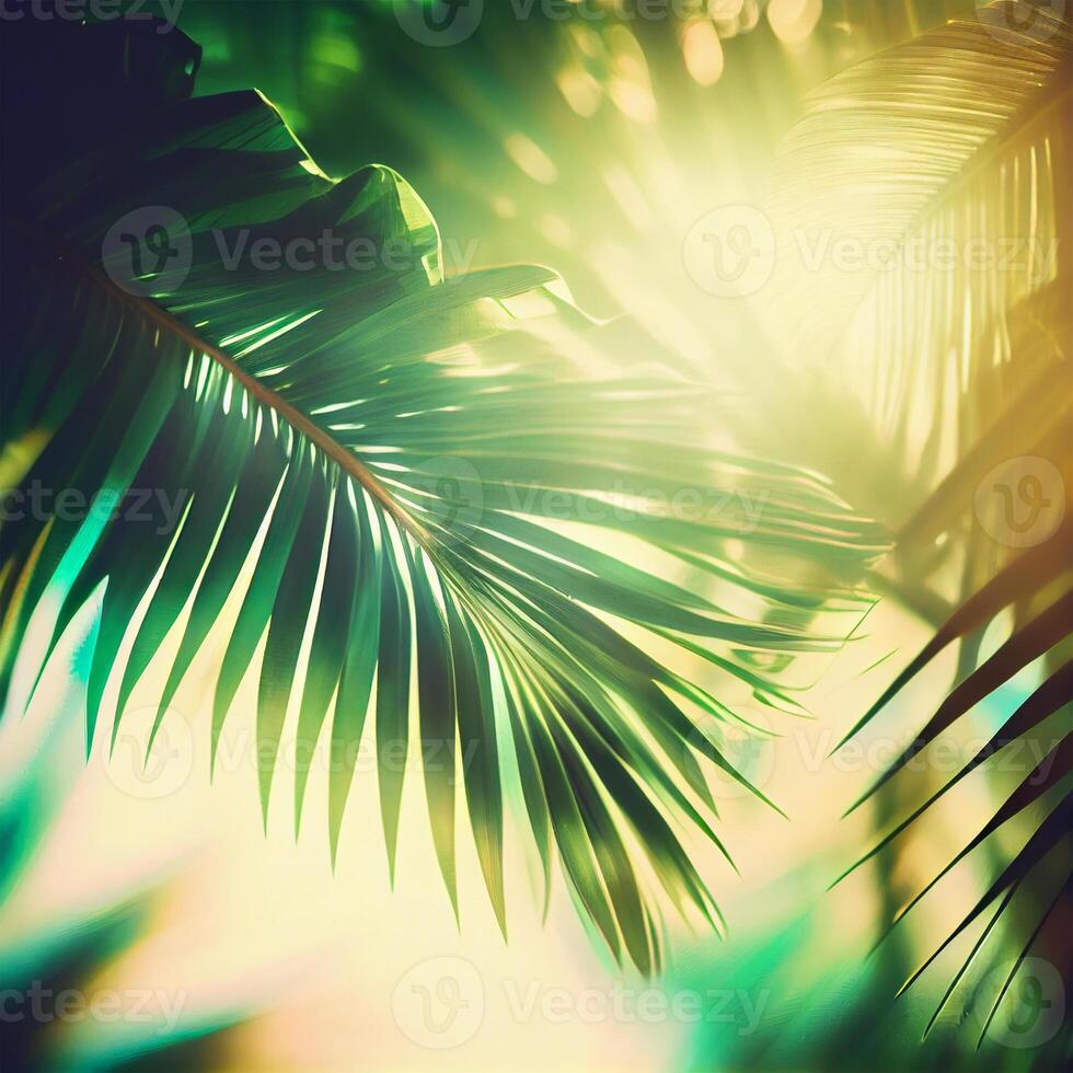 Blur beautiful nature green palm leaf on tropical beach with bokeh sun light flare wave abstract background. Summer vacation and business travel concept space - image photo