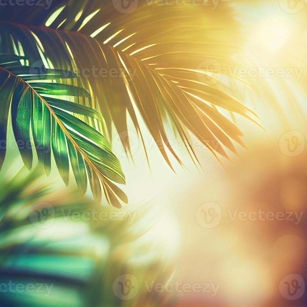 Blur beautiful nature green palm leaf on tropical beach with bokeh sun light flare wave abstract background. Summer vacation and business travel concept space - image photo