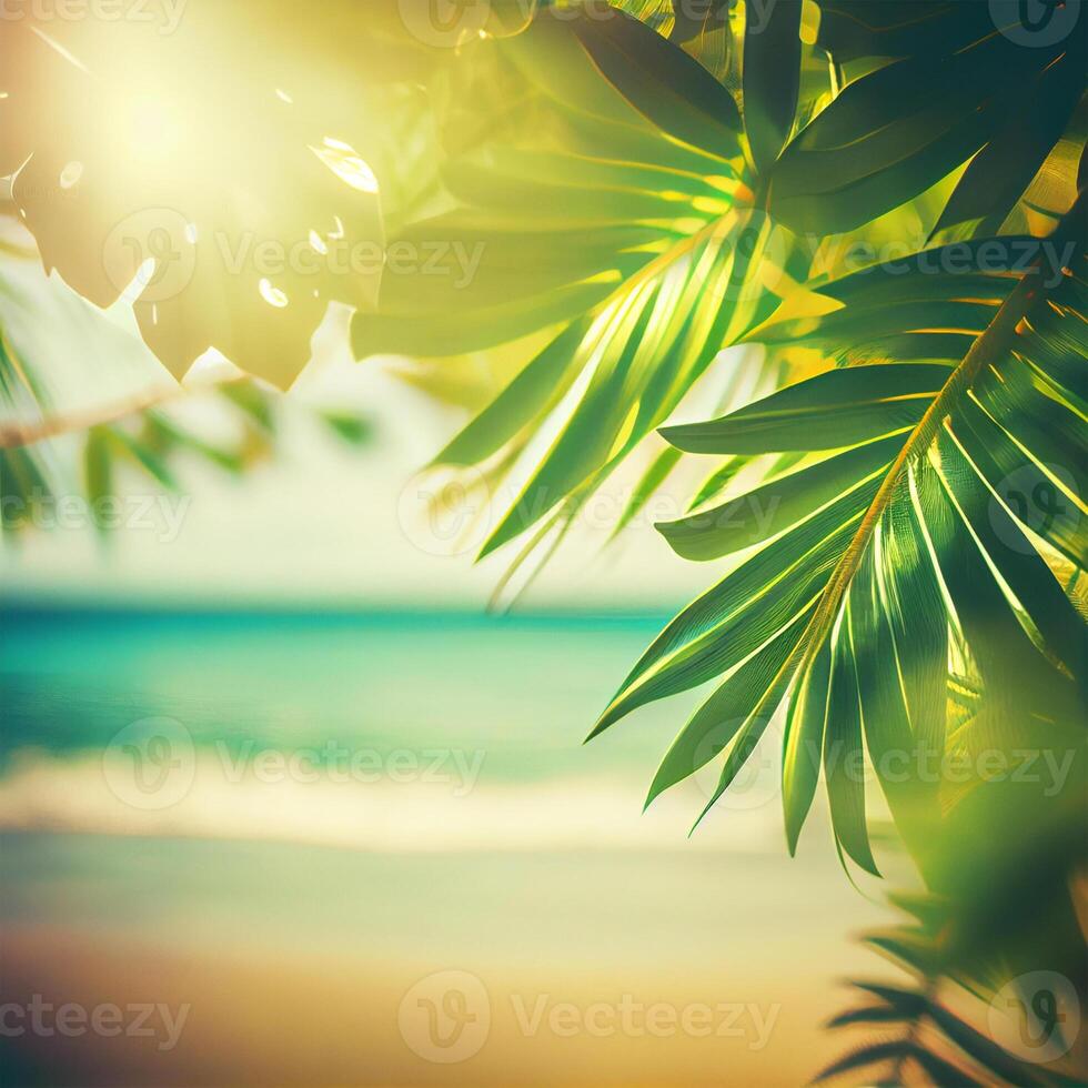 Blur beautiful nature green palm leaf on tropical beach with bokeh sun light flare wave abstract background. Summer vacation and business travel concept space - image photo