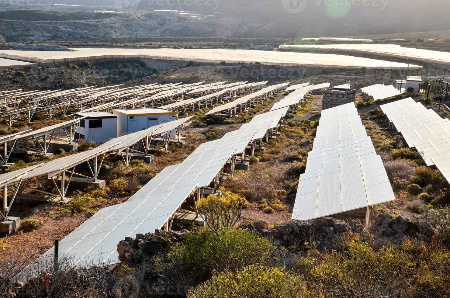 Rows of solar panels photo