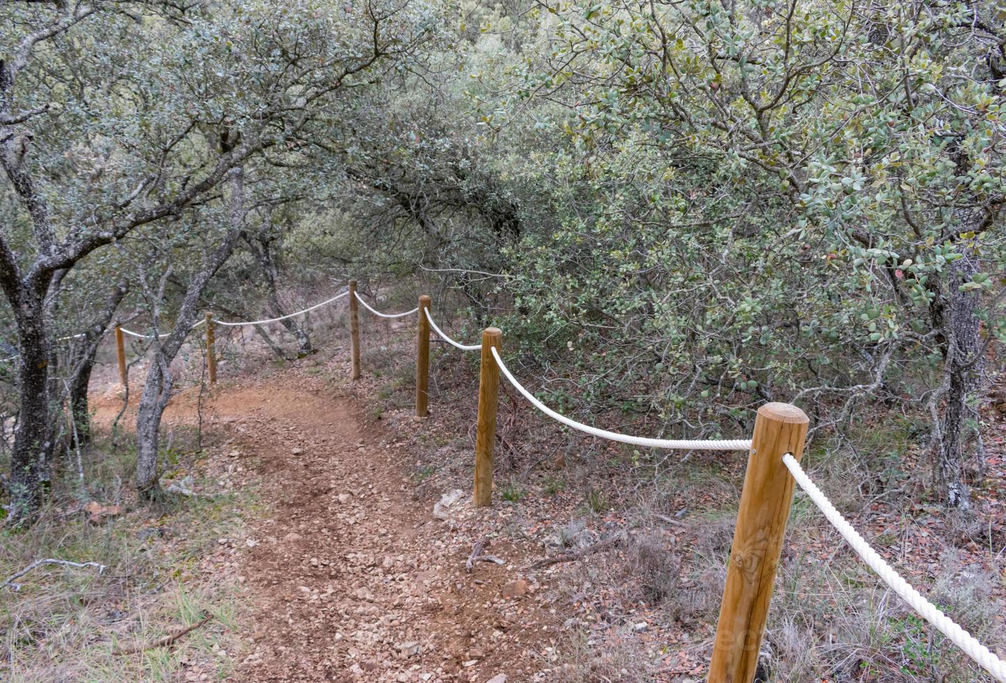 dirt road in the forest with wooden stakes and rope handrail photo