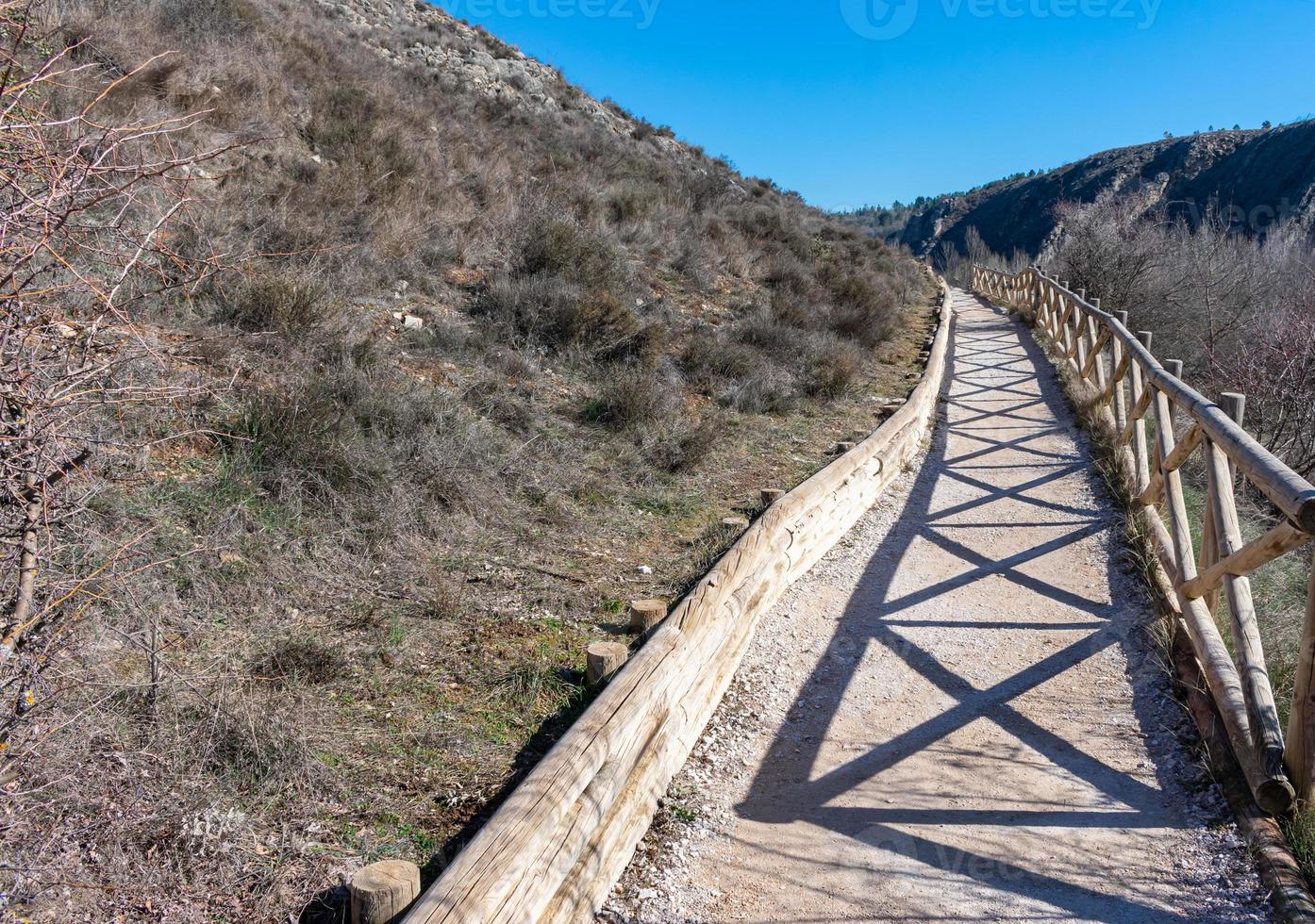 concrete path with wooden railing in the bush photo