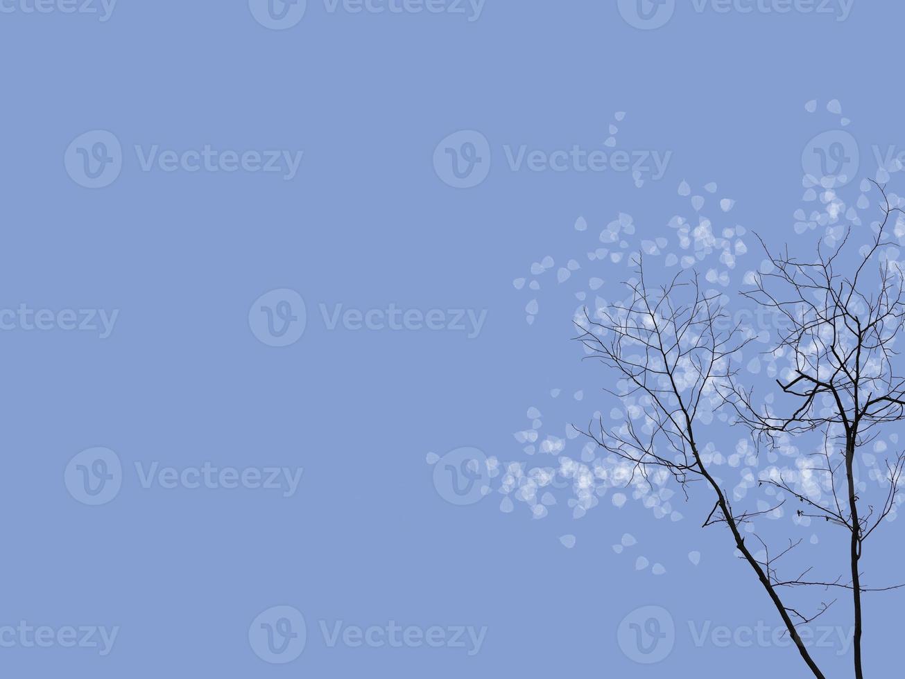 Silhouette dry twigs of tree with transparent white tone leaves blowing, blue color background with blank copy space for text, wallpaper photo