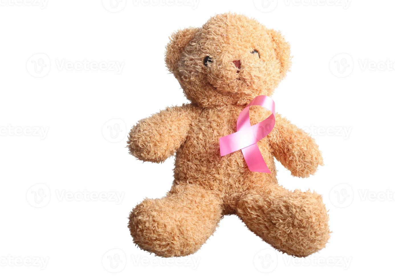 Brown teddy bear on white background.Isolated photo