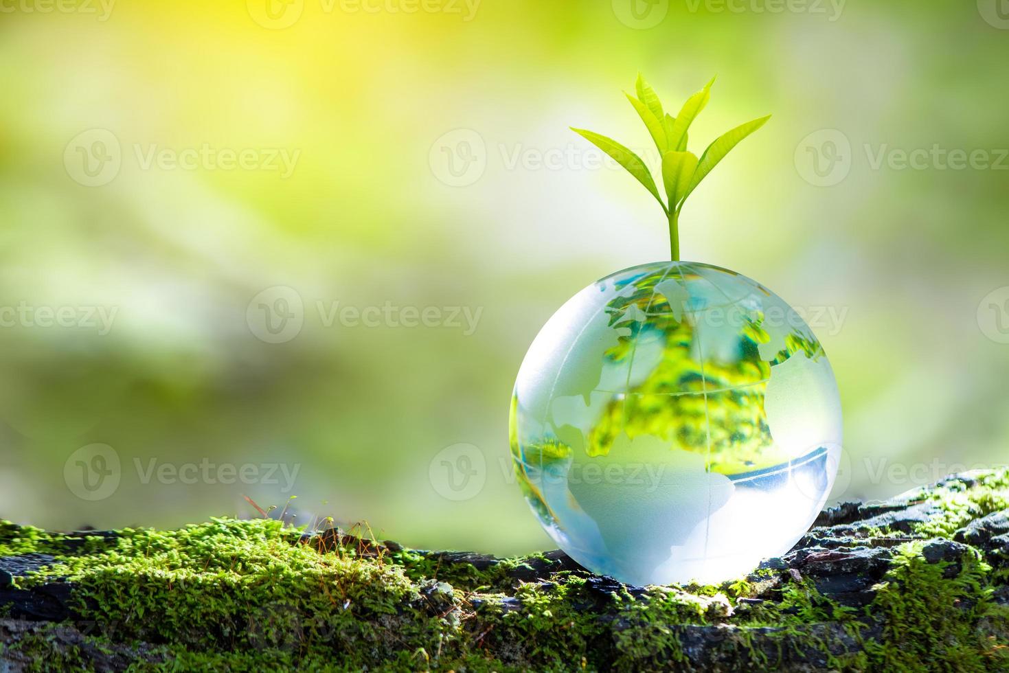 3D illustration Renewable energy concept Earth Day or environmental protection Protect the forests that grow on the ground and help save the planet. photo