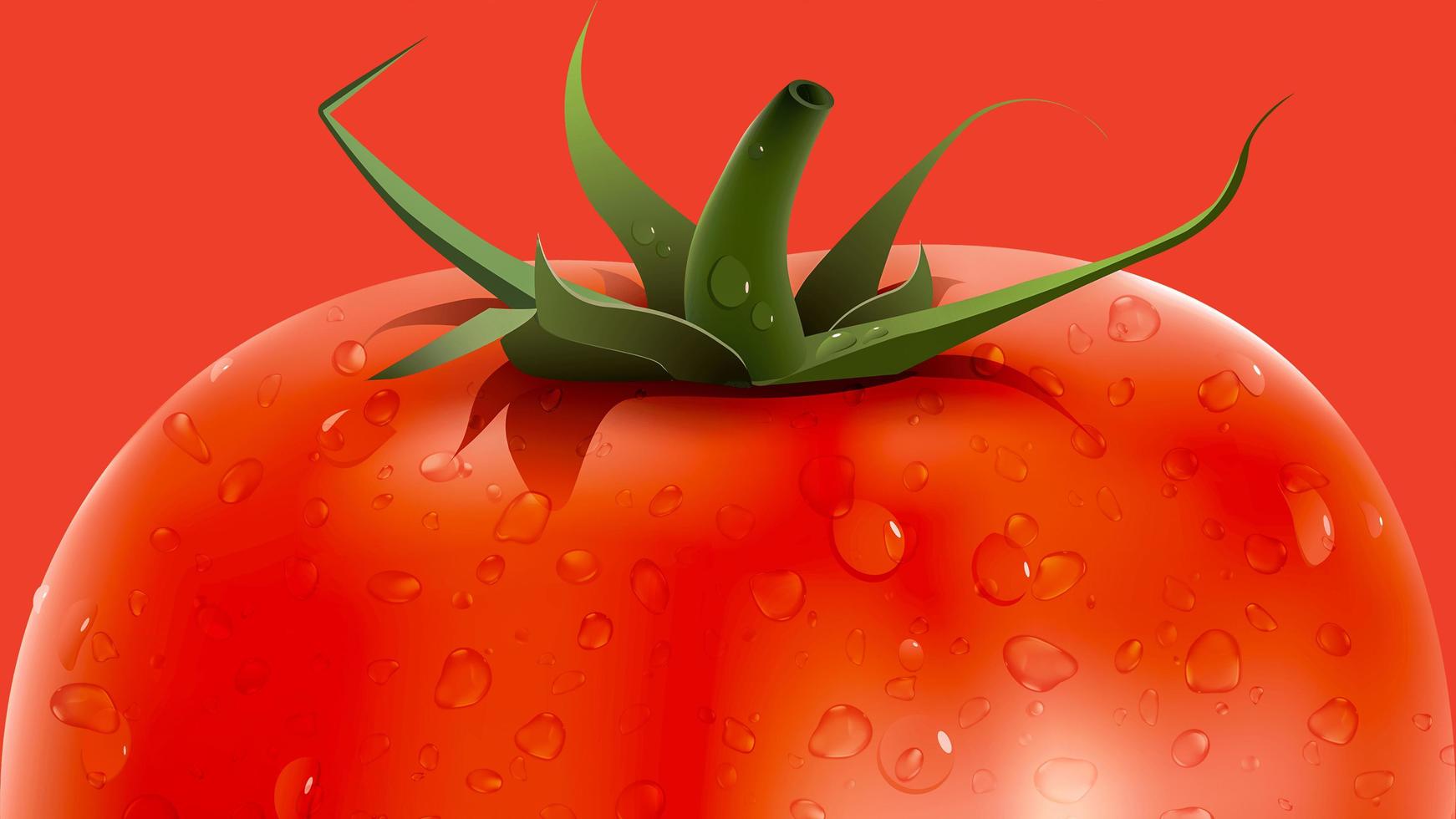 Fascinating Full Size Red Or Ripe Tomato Or Solanum Lycopersicum With Water Drops Close Up Macro Photography Tactics That Can Help Your Business Grow photo