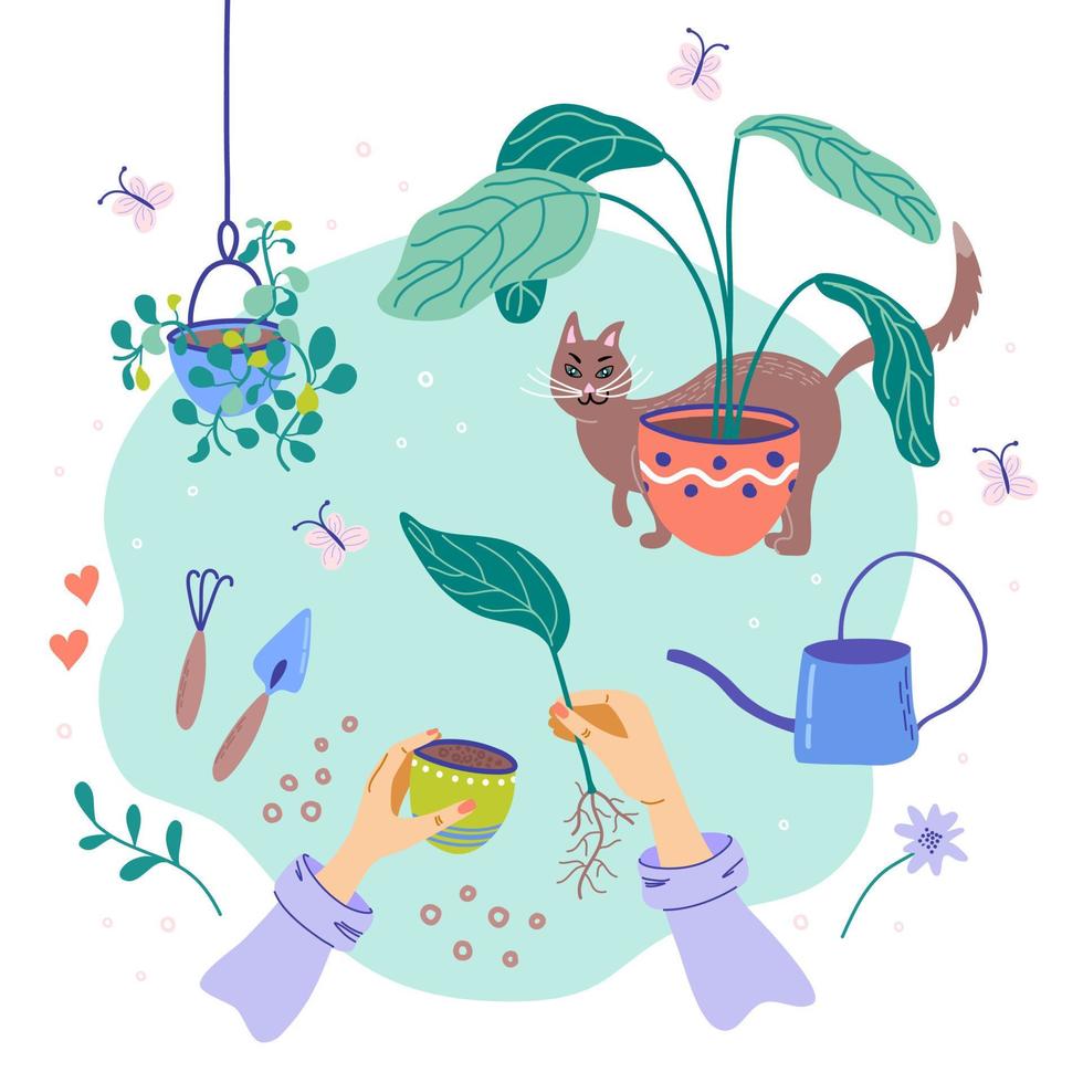 vector ilustración de flores replantar, parte superior vista. planta de casa guardería y cuidado concepto. mujer plantando brote. jardinería pasatiempo. vida estilo plano laico con plantas y gato.