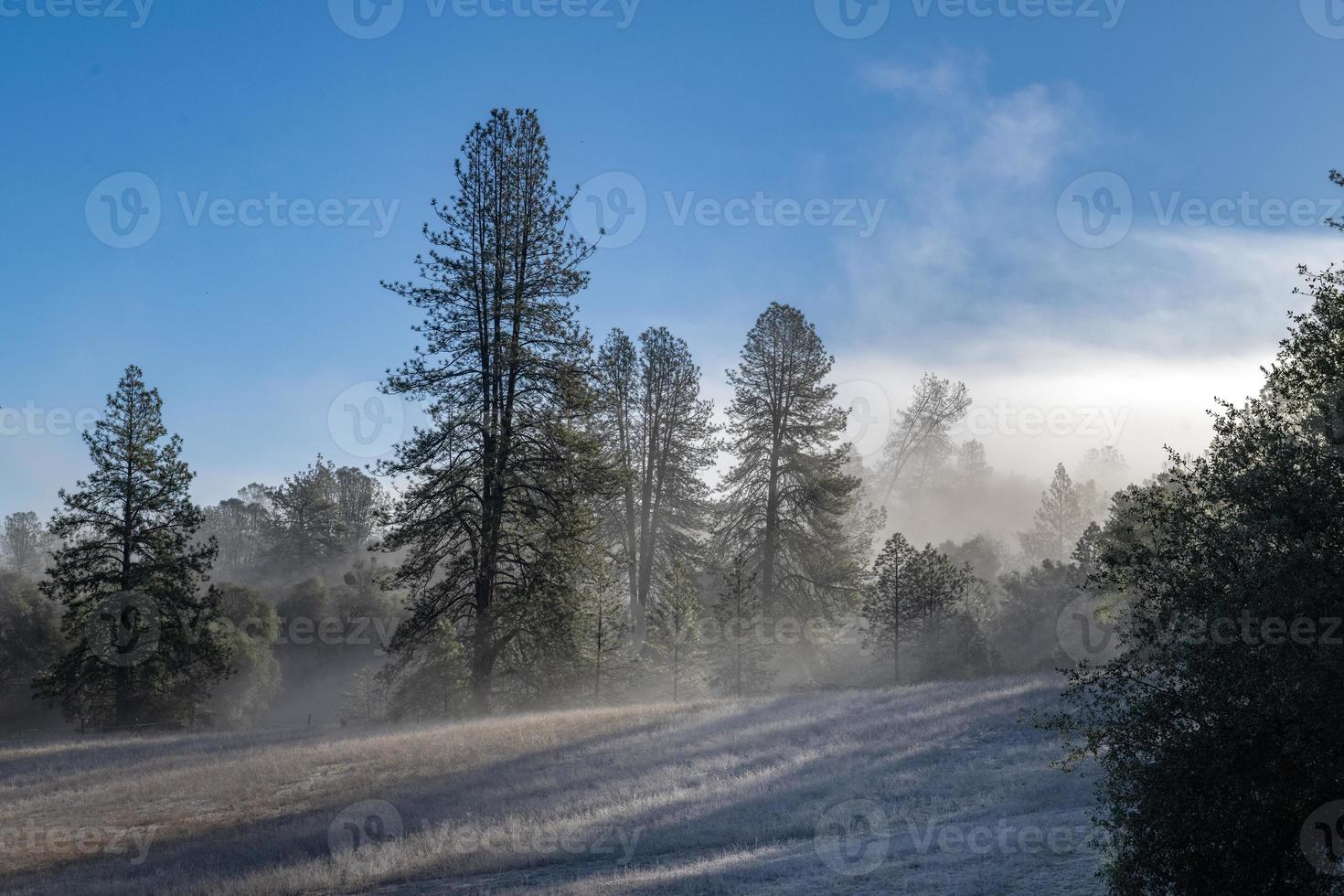 Frosty Country Morning photo