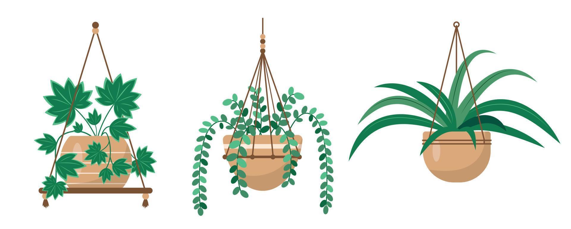 Hangers for decorative house plants or flowers in pots. Hanging macrame pots for indoor Home or office garden. Flat or cartoon icons vector illustration for interior decor and botanical design.