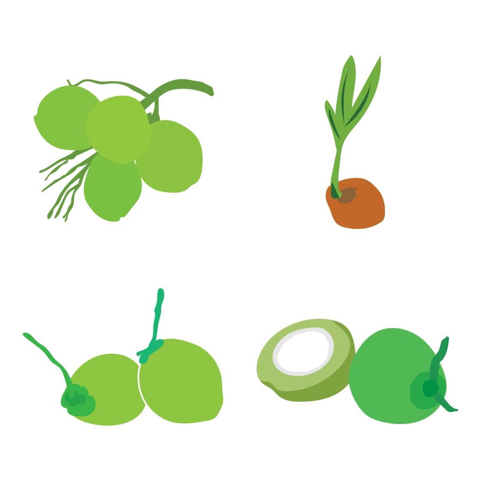 Coco Fruta icono vector