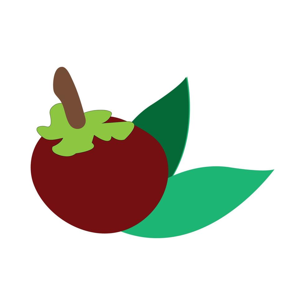 vector de icono de mangostán