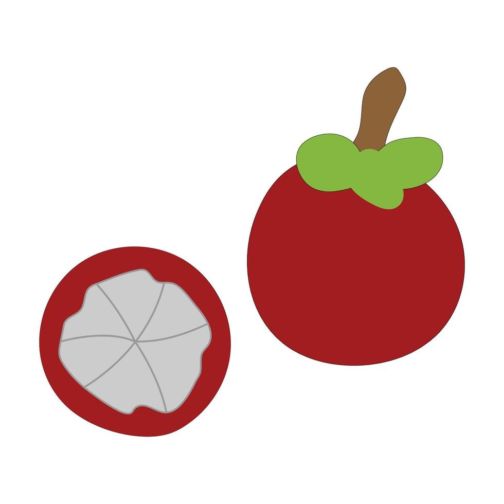 mangosteen icon vector