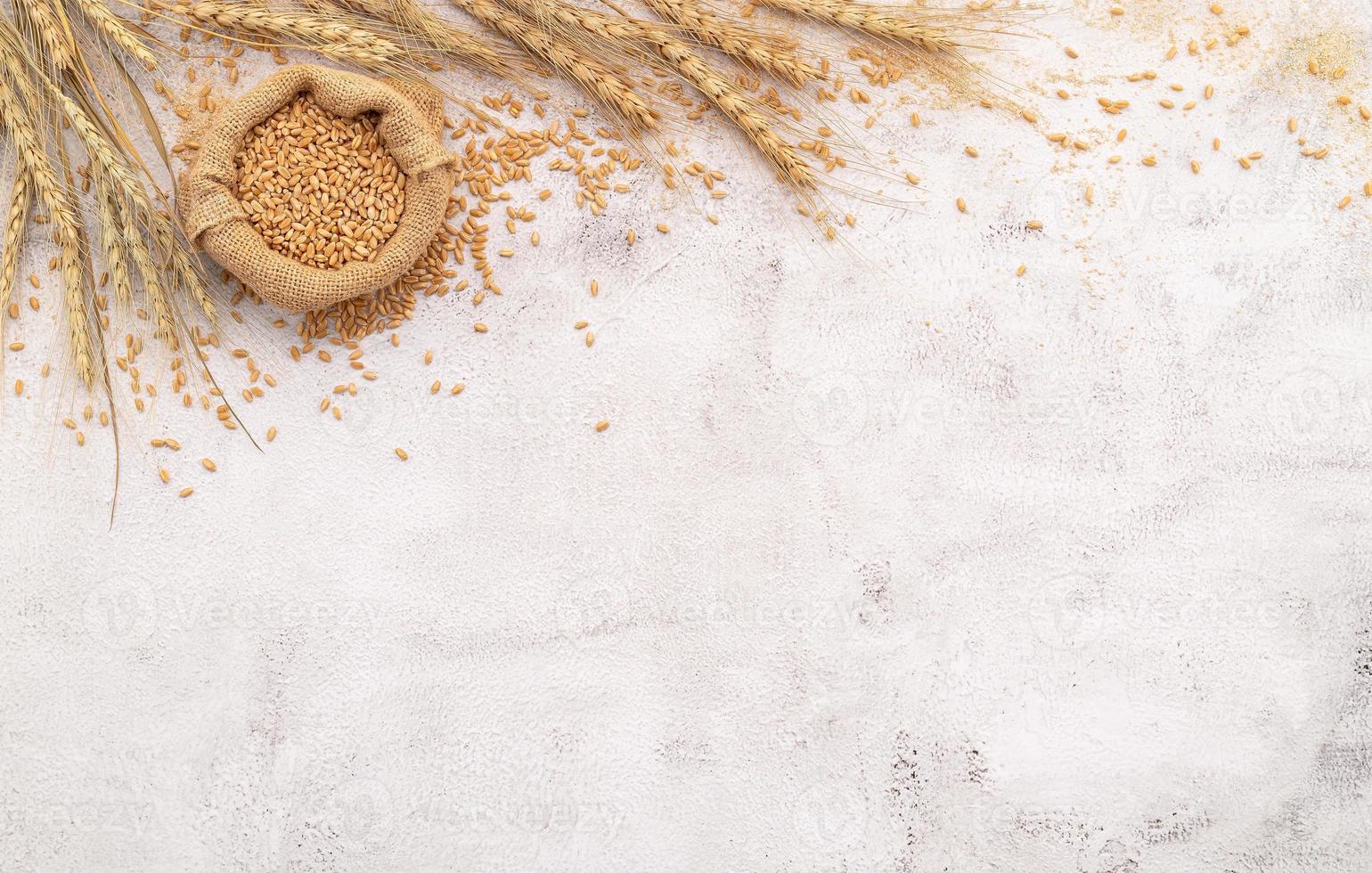 Wheat ears and wheat grains set up on white concrete background. photo