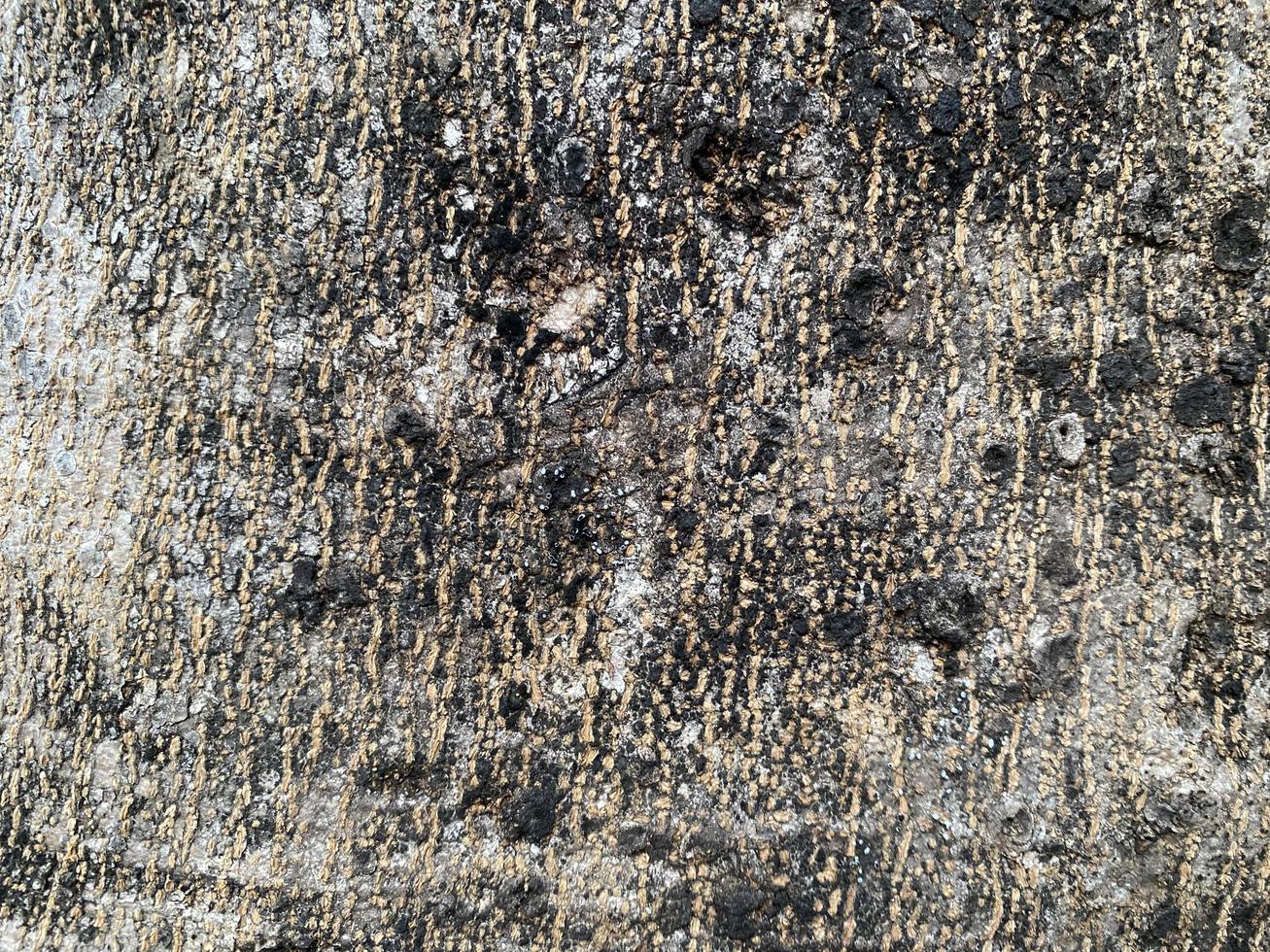Seamless bark color gray, white, black Has a rough texture, suitable for use as a background,tree,cell. for natural wallpaper photo