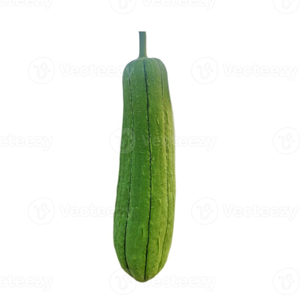 luffa acutangular, Cucurbitaceae green vegetable fresh in garden on nature background photo