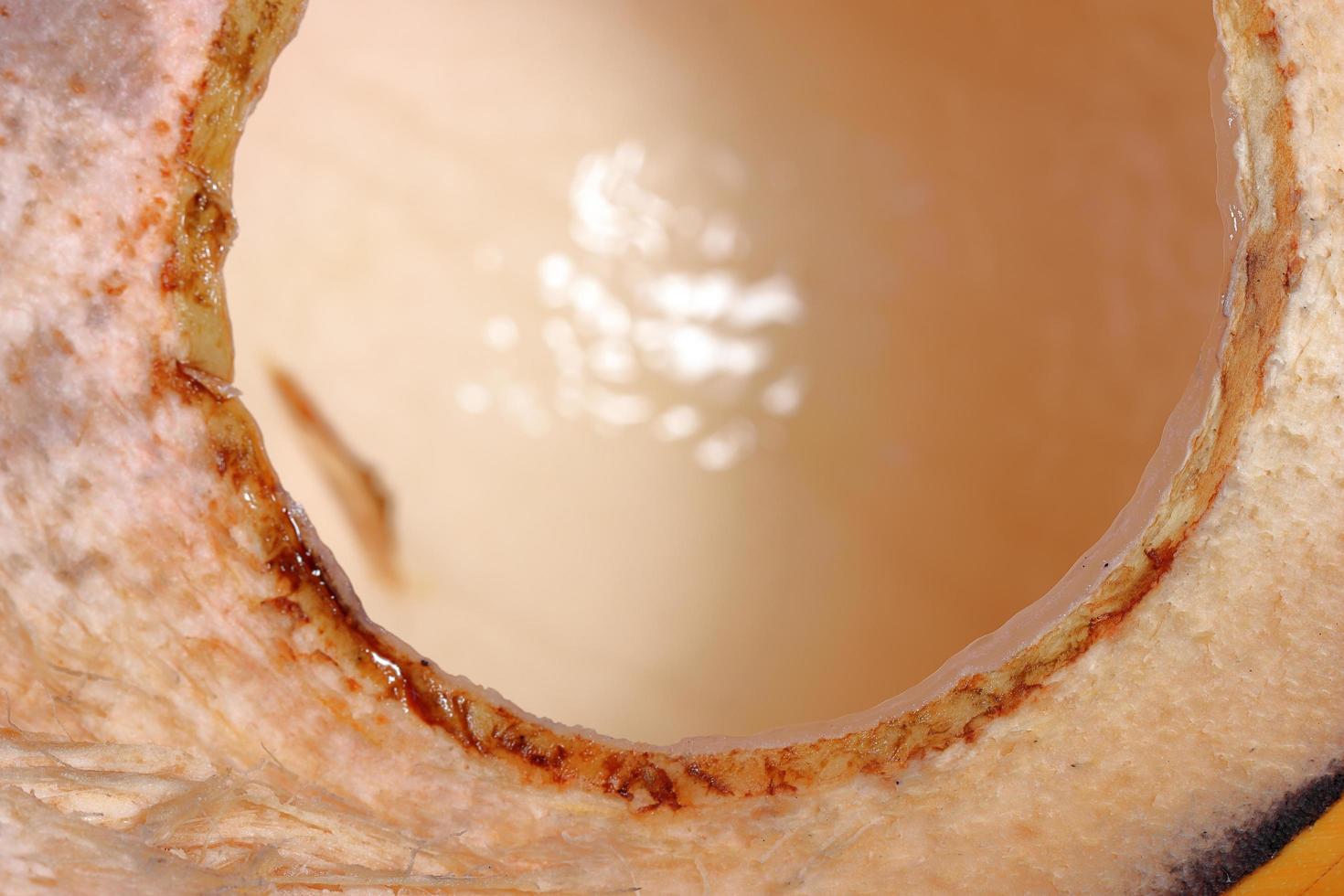 Close up of king coconut fruit half on wooden background photo