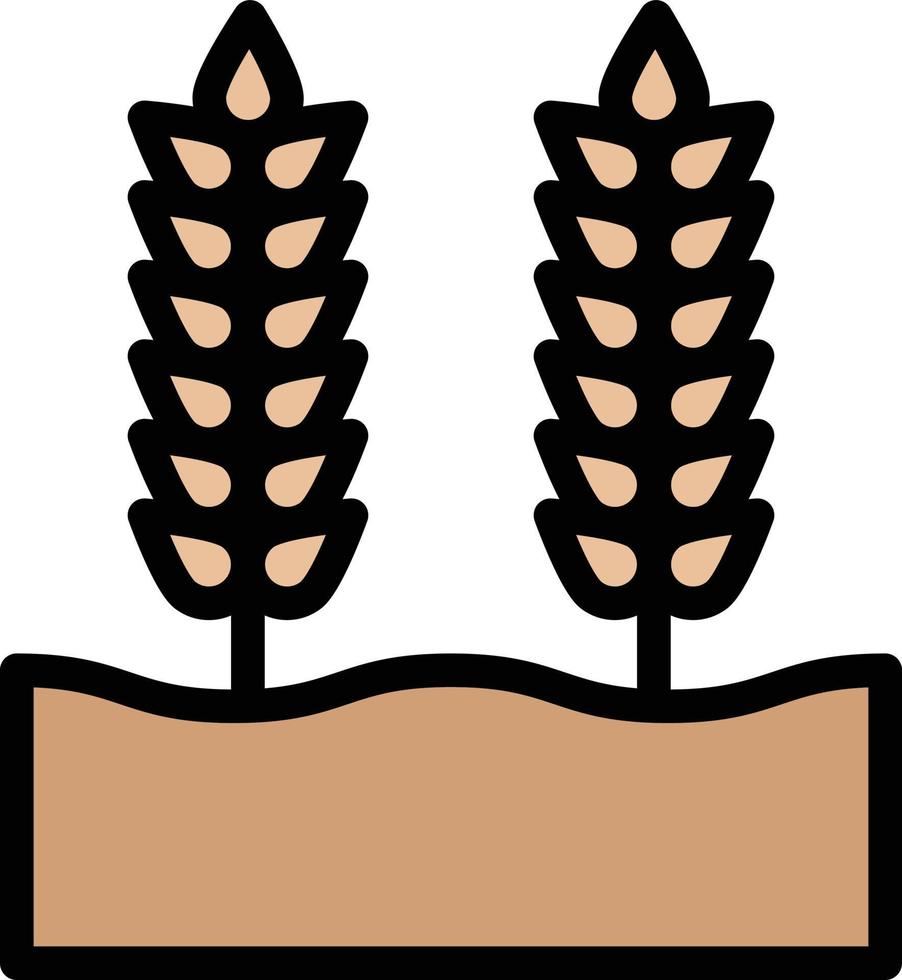 Wheat grain Vector Icon Design Illustration