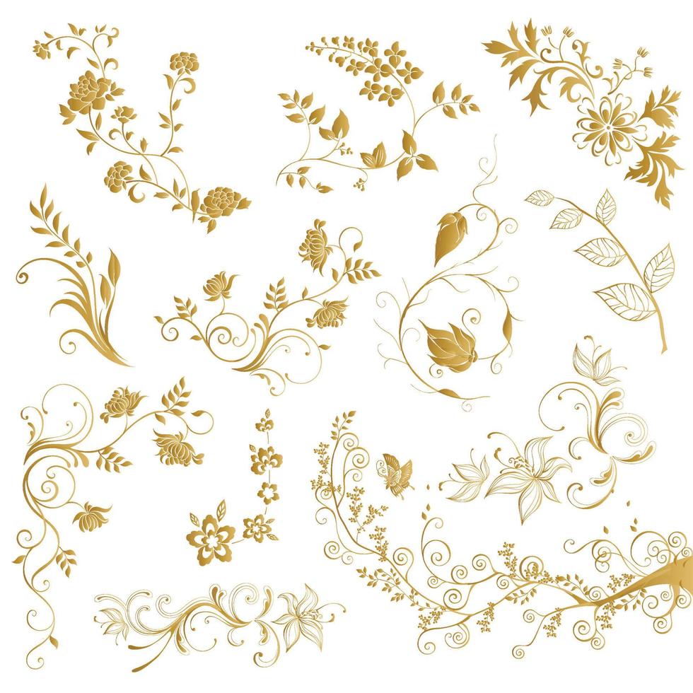 vector oro mano dibujado planta hojas