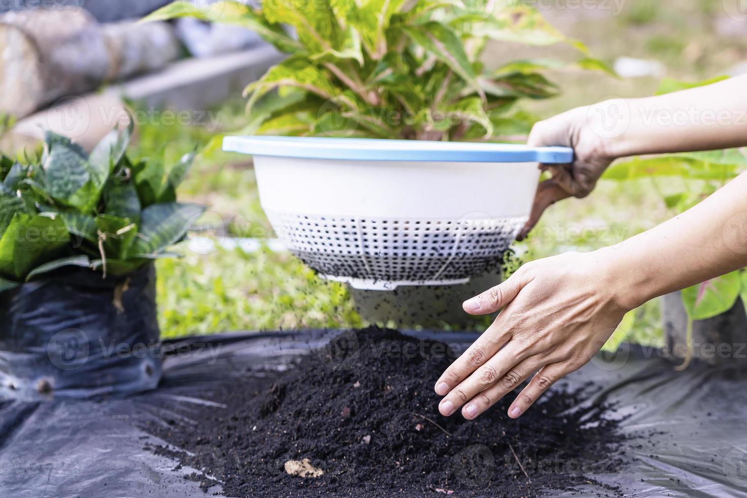 Preparation of soil mixture from fertile compost, humus and vermiculite on  black garbage bag floor in garden. Mixing the soil components for the preparation of the substrate for transplanting plants. photo