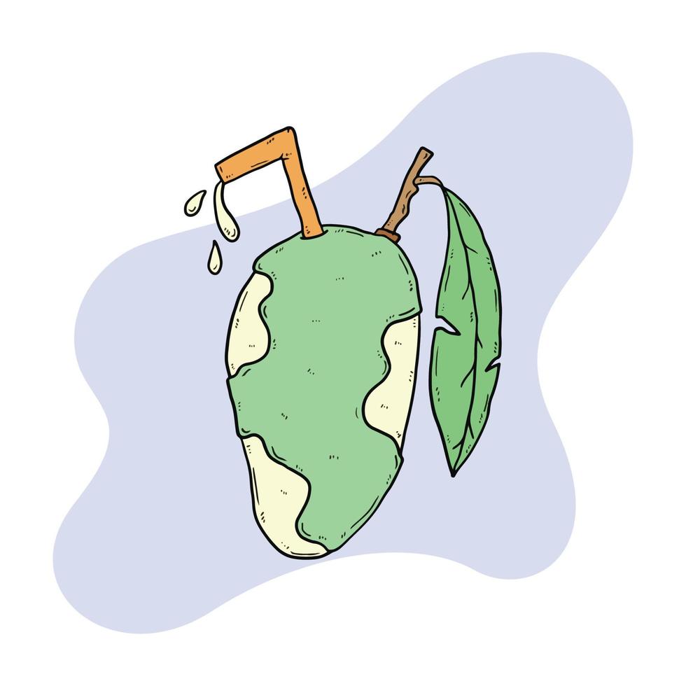 mango fruit with straw and stalk vector