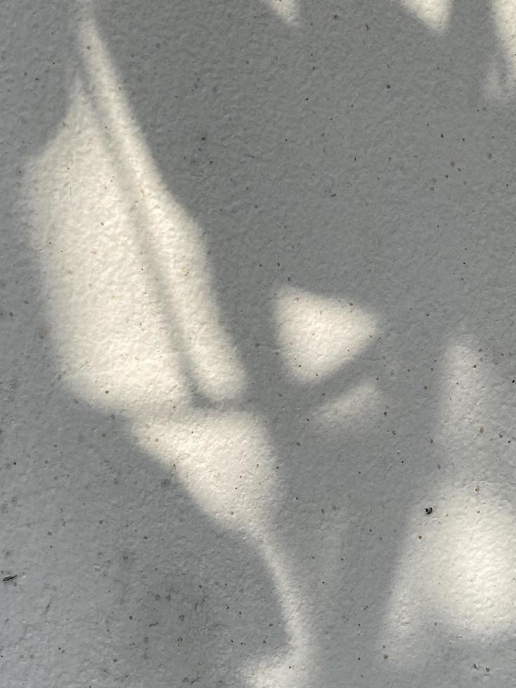 Leaves shadow background on concrete wall texture, leaves tree branches shade with sunlight photo