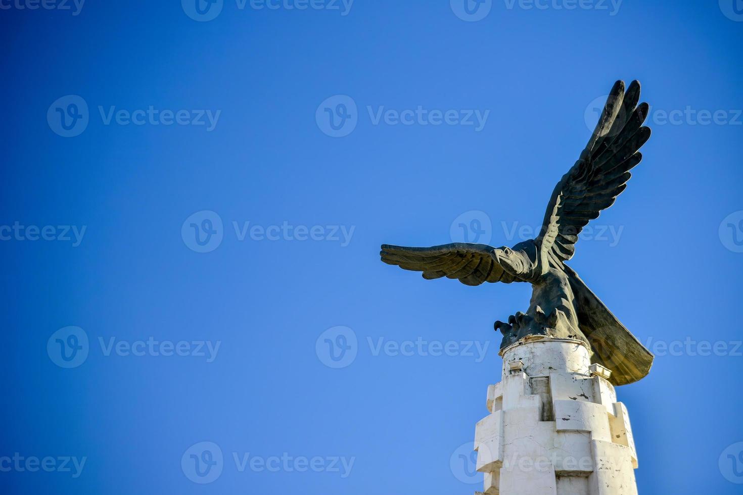 Tajiks in Tashkurgan worship the eagle as a symbol of bravery photo