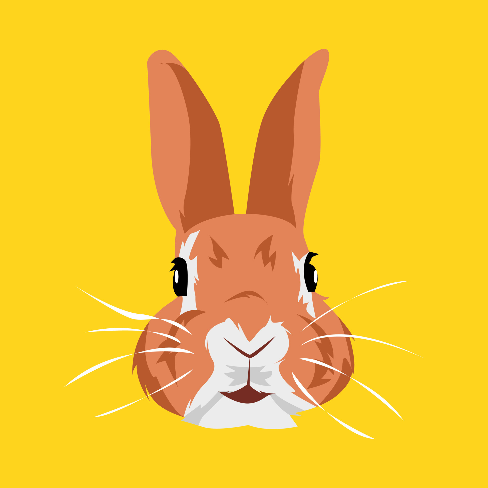 portrait of a rabbit head. cute bunny. isolated on yellow background