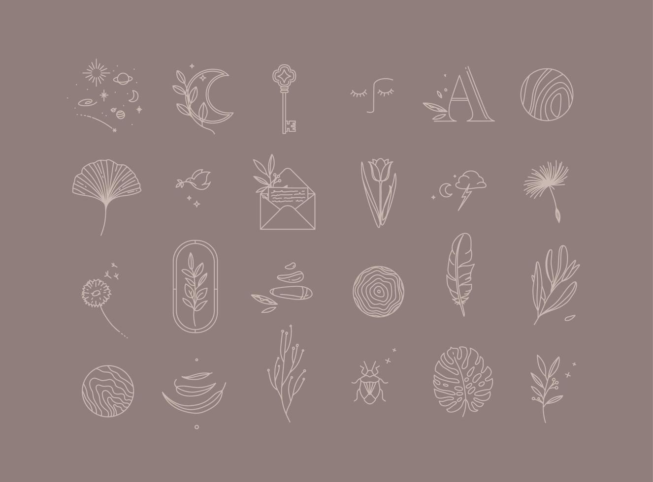 Symbols in modern minimal style drawing on cocoa background. vector
