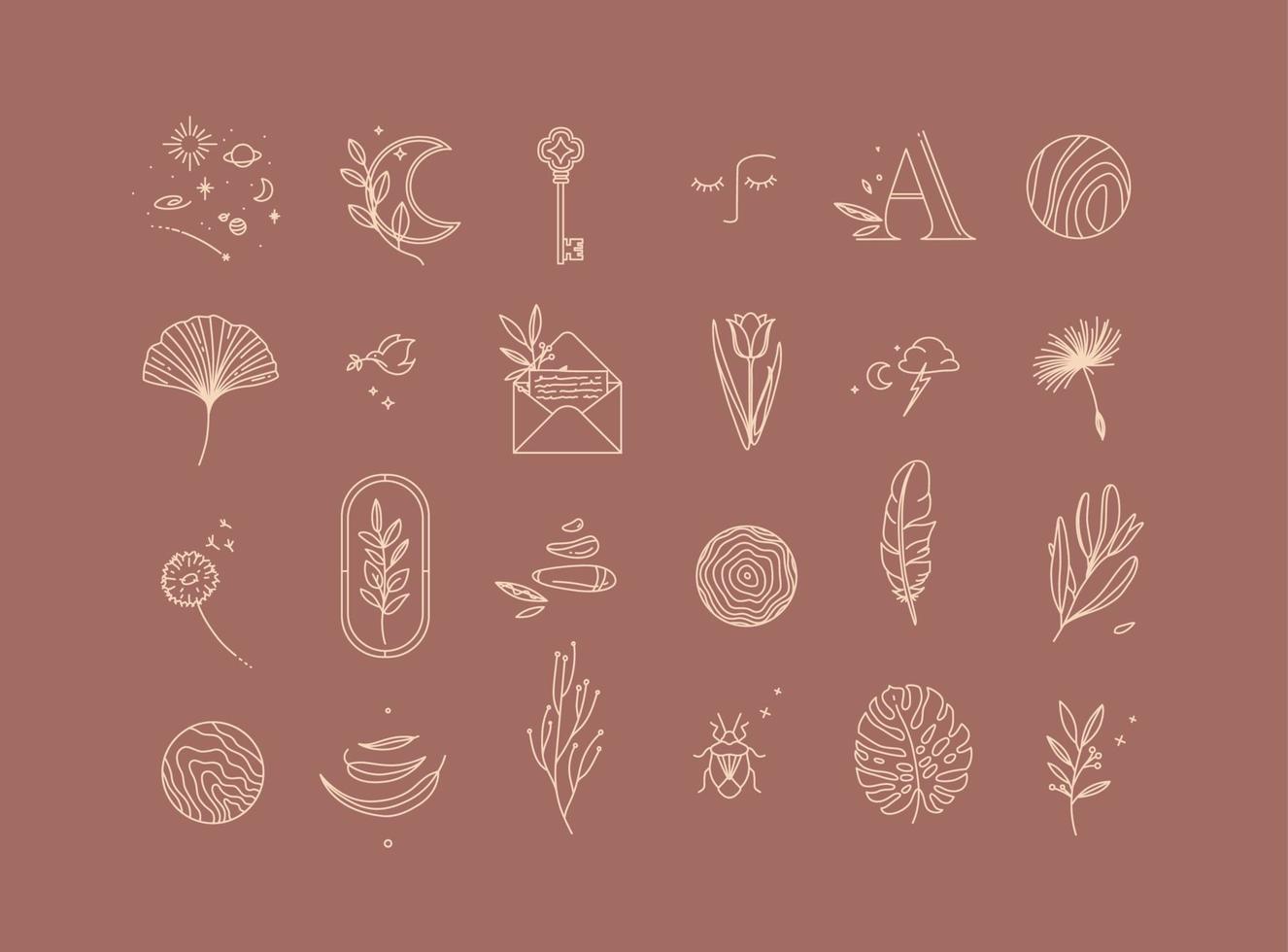 Symbols in modern minimal style drawing on dark coral background. vector