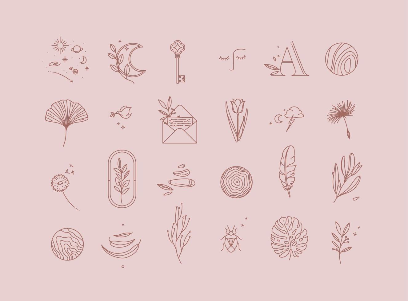 Symbols in modern minimalist style drawing on rose beige color background vector