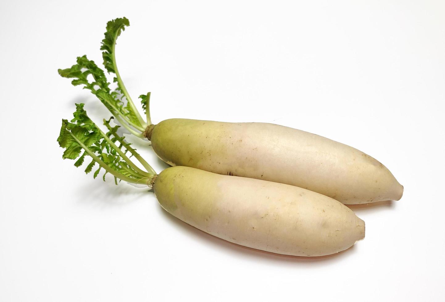 blanco rábano o daikon aislado en blanco antecedentes foto