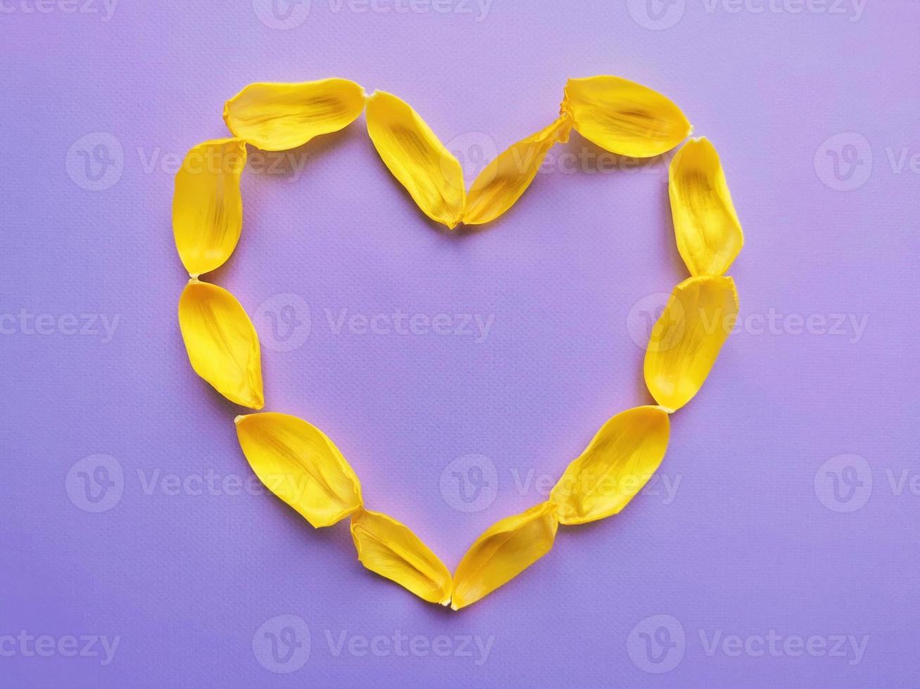 Heart made of yellow tulip petals on purple background, top view photo
