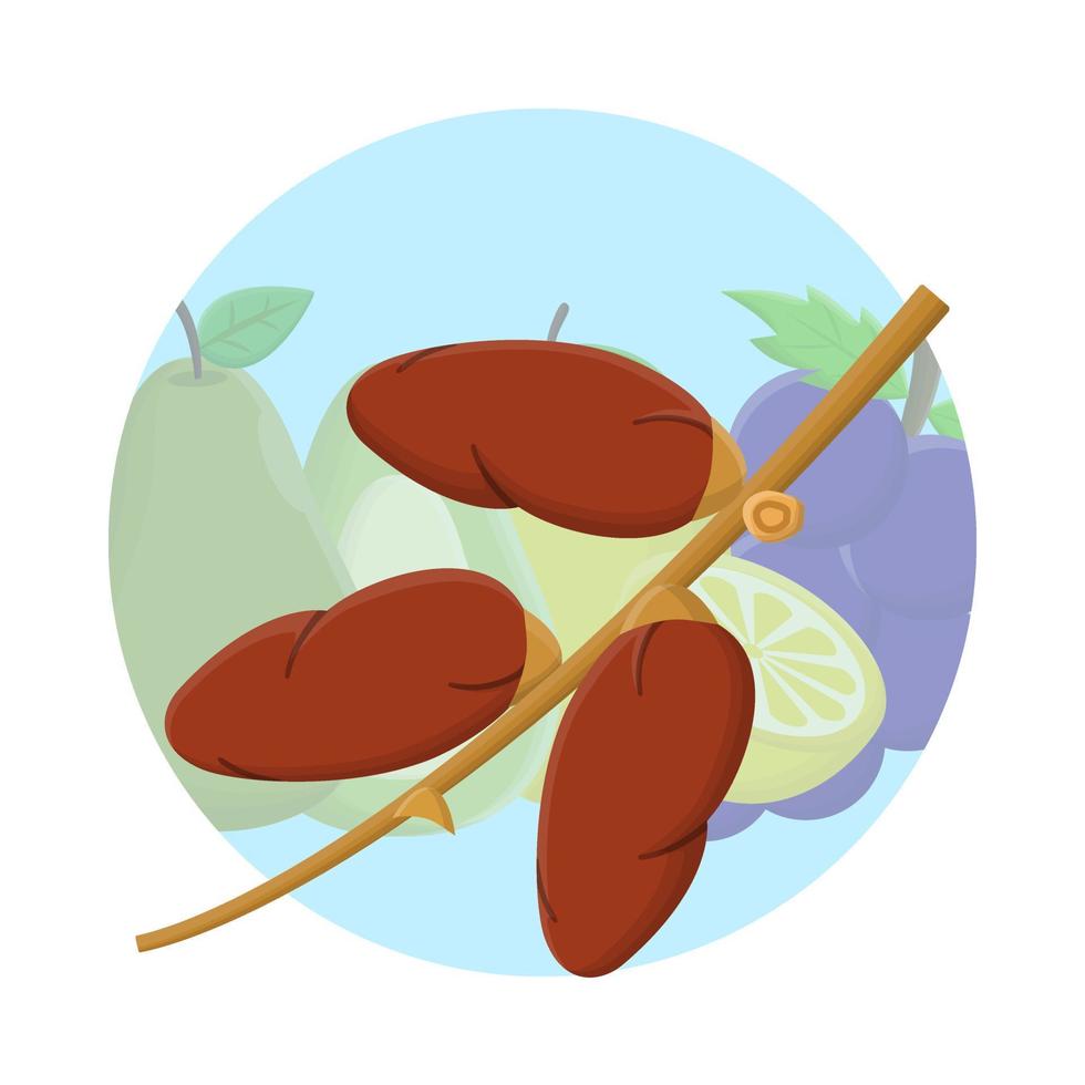 Palm Date Fruit Flat Icon vector