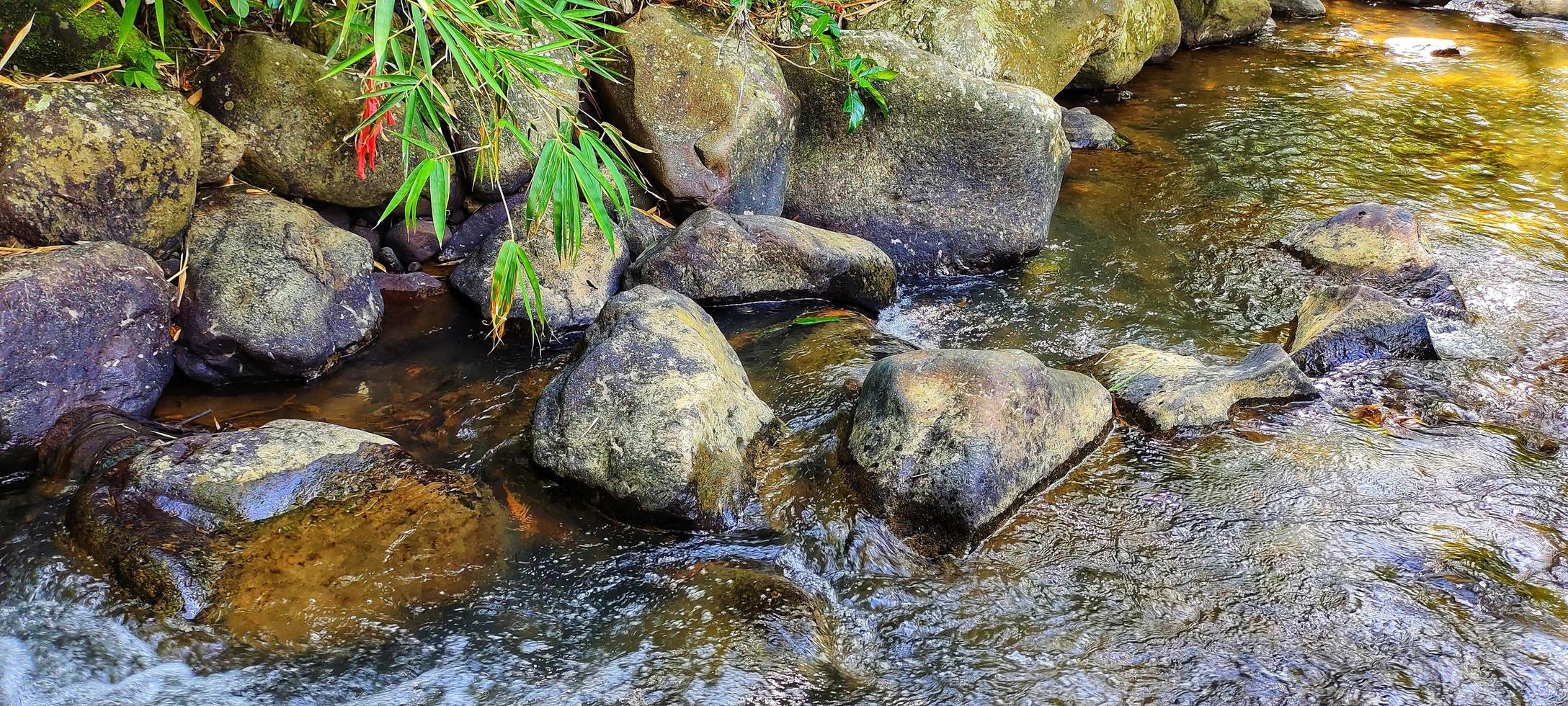 naturaleza río debajo el pie de el montaña foto