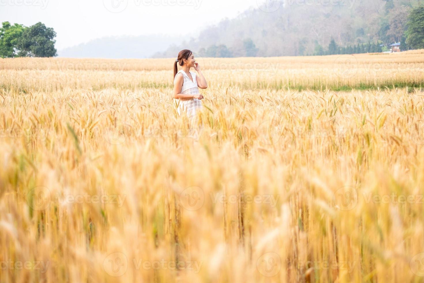 Young Asian women  in white dresses walking in the Barley rice field photo