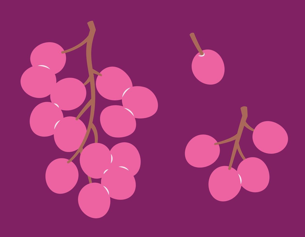 ramas de uvas en plano estilo. vector