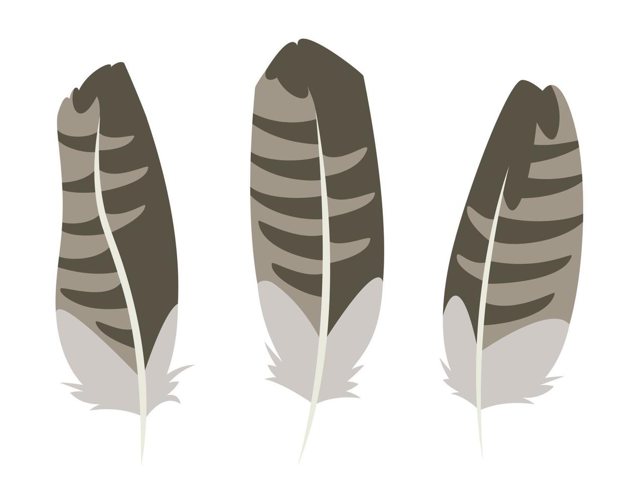 conjunto de zopilote plumas en plano estilo. vector