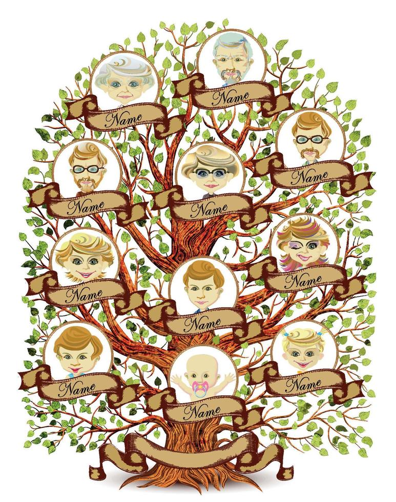 Ilustración de vector de plantilla de árbol genealógico